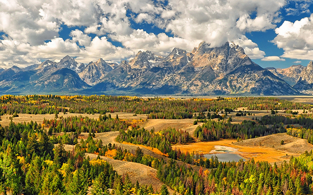Hình ảnh vé máy bay đi Mỹ khám phá những đồng cỏ đẹp nhất thế giới