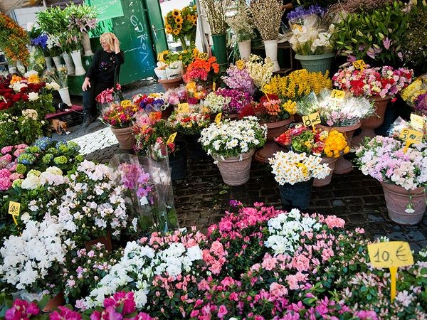 Hình ảnh chiêm ngưỡng 10 chợ hoa rực rỡ nhất thế giới