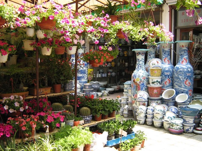 Hình ảnh chiêm ngưỡng 10 chợ hoa rực rỡ nhất thế giới