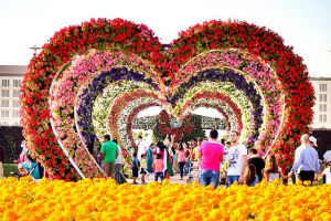 Khám phá vườn hoa lớn nhất thế giới với vé máy bay giá rẻ
