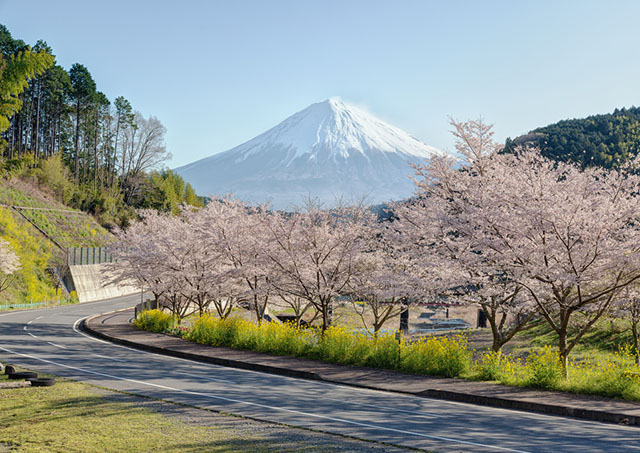 Hình ảnh 8 mẹo vặt du lịch Nhật Bản tiết kiệm mùa Tết