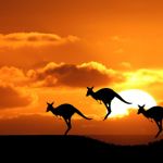 Những kinh nghiệm khi đi du lịch Úc