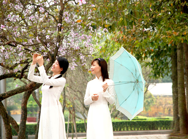 Hà Nội rực rỡ sắc màu lúc giao mùa