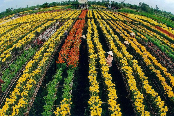 Vé máy bay giá rẻ 11k vi vu Sài Gòn dịp Tết