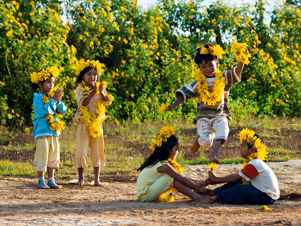 ve-may-bay-gia-re-kham-pha-da-lat-mua-da-quy2