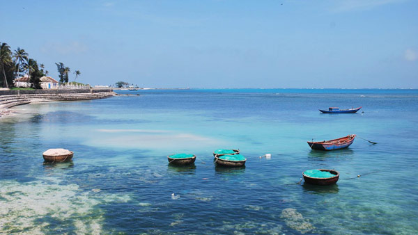 Cù lao xanh