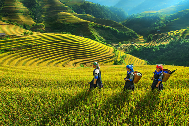 Vé máy bay khuyến mãi giá rẻ tháng 3