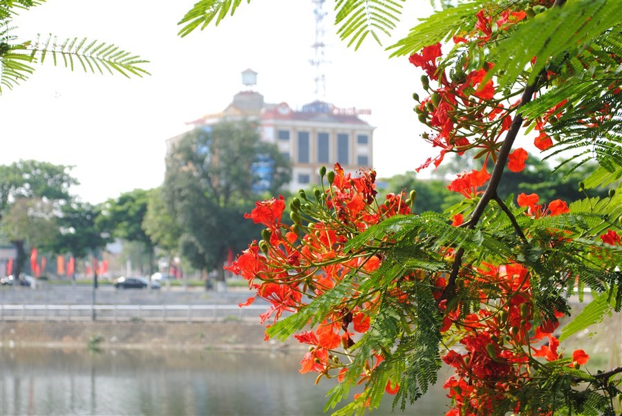 Vé máy bay khuyến mãi đi Hải Phòng