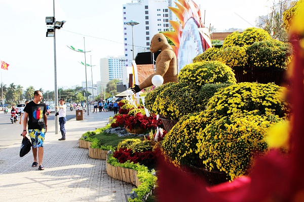 Đường hoa Nha Trang vào dịp Tết