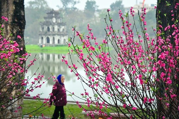 Vé máy bay Tết đi Hà Nội