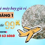Săn vé máy bay giá rẻ tháng 1