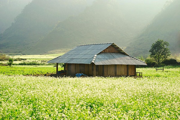 Tháng 12 là thời điểm lên ngôi của các điểm du lịch Tây Bắc